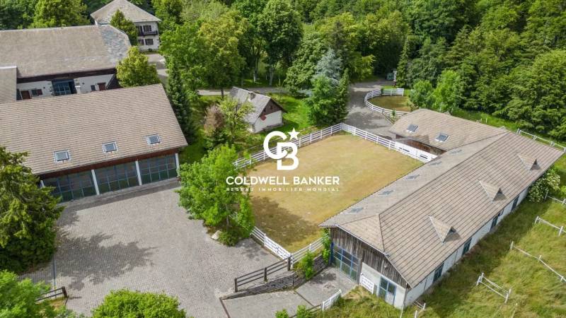 Magnifique domaine d'élevage de chevaux avec une propriété de 10 pièces à vendre  - Évires 74570